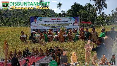 FIELD DAY SEKOLAH LAPANG PENGENDALIAN HAMA TANAMAN (SLPHT)